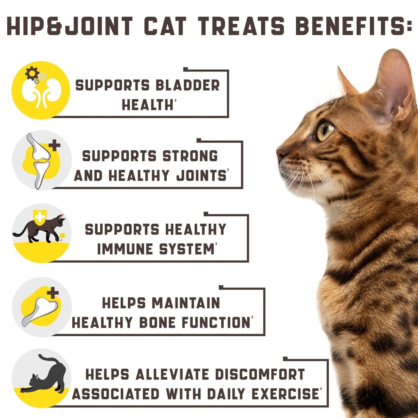 Natural Glucosamine for Cats Effective Cat Joint Supplement That Helps Improve