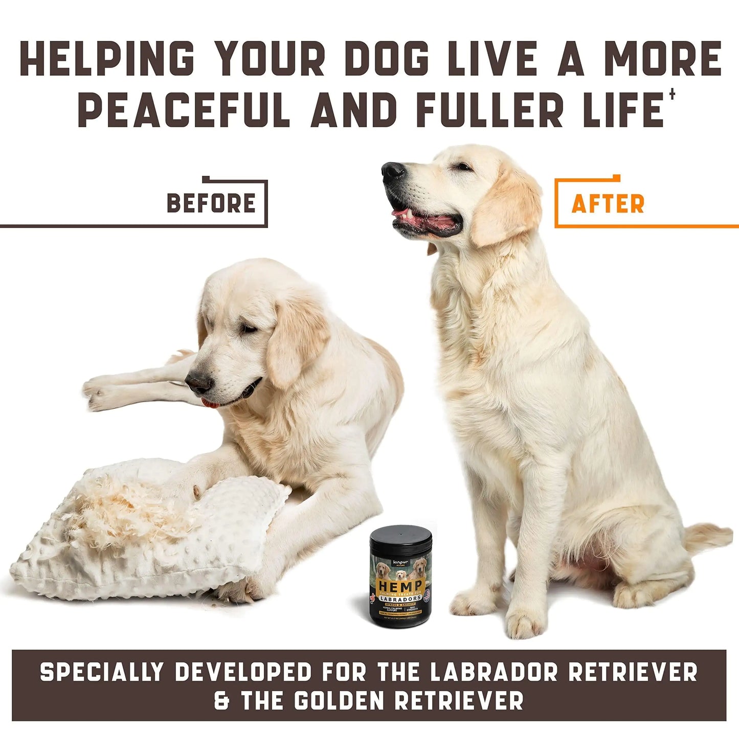 Calming Chews for Labrador Dogs with Valerian Root and Hemp Oil Aid during Car
